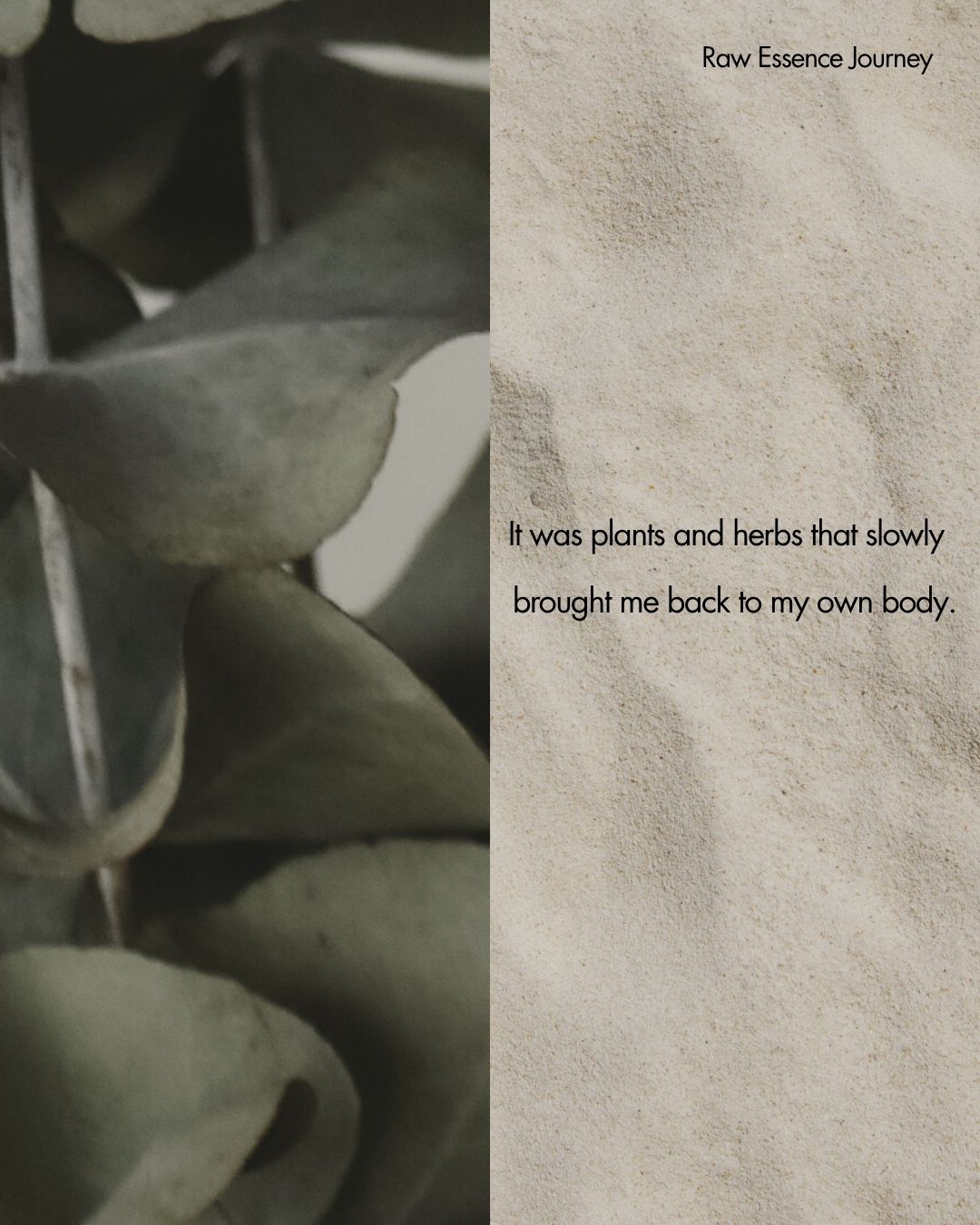 A brand born from the desire to feel