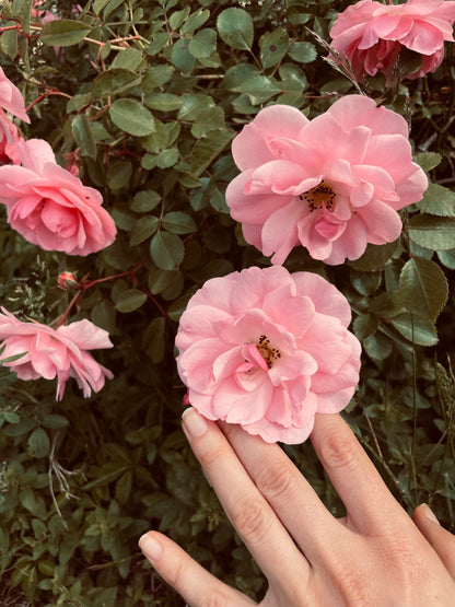 HEART CHAKRA Massage Oil